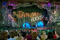903 - Animal Kingdom - Tarzan Rocks