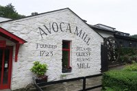 IMG 0697 - Avoca Mill