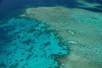IMG_4983 - Great Barrier Reef Reef Magic.JPG