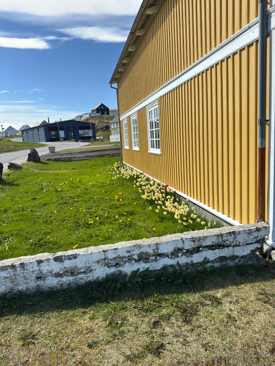 IMG 4863