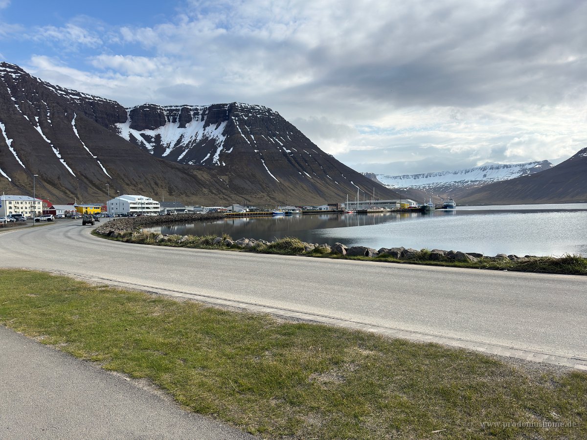IMG 4899
