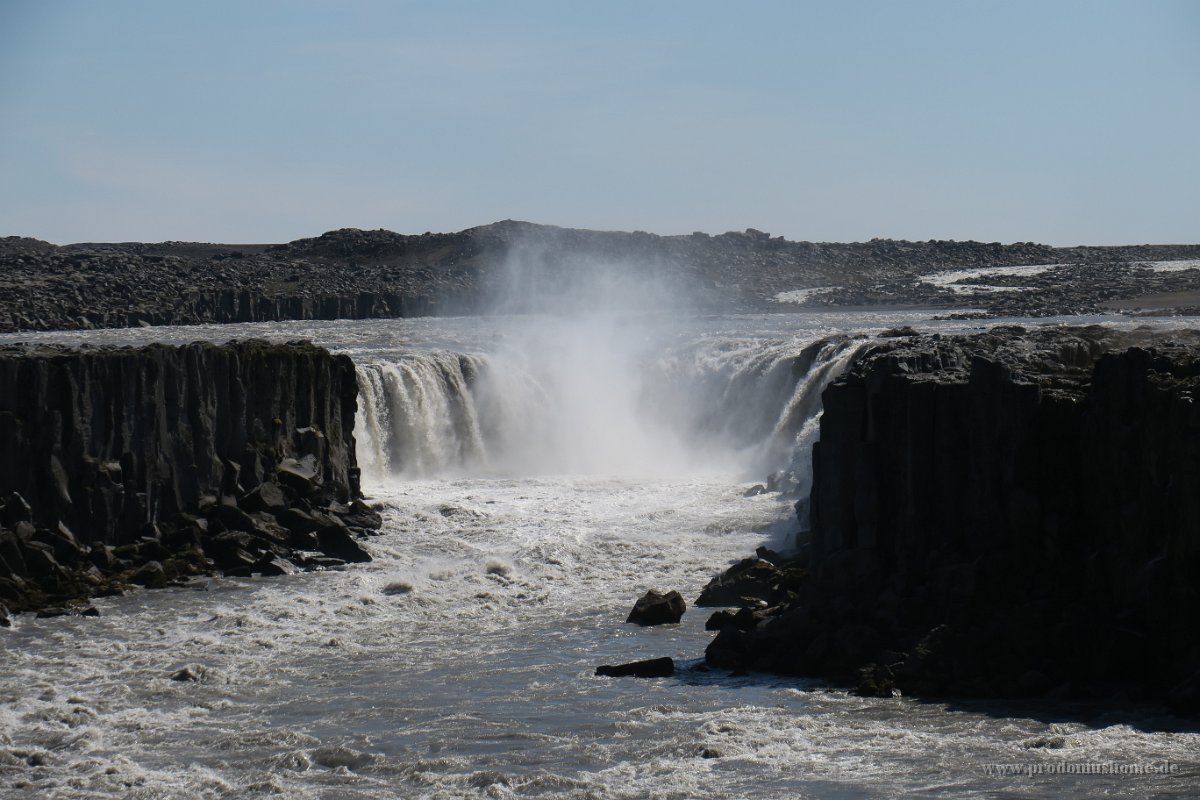 IMG 5064 1084