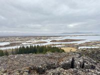 IMG 4788