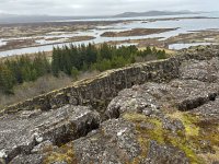 IMG 4789