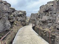 IMG 4791