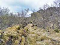 IMG 4797
