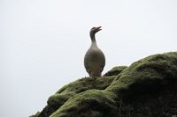 IMG 4797 0897