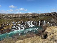 IMG 4816