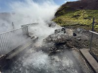IMG 4826