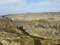 IMG 4833