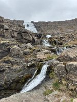 IMG 4888