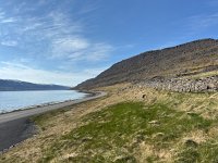 IMG 4909