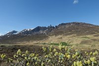 IMG 4932 1029