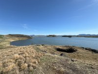 IMG 4964