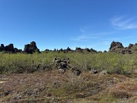 IMG 4971