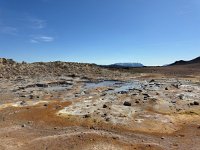IMG 4994
