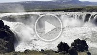IMG 5008