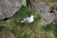 IMG 5023 1066