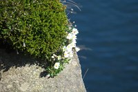 IMG 5023 1075