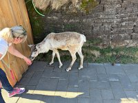 IMG 5068