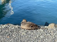 IMG 5151