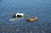 IMG 5164 1112