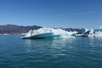 IMG 5166 1119
