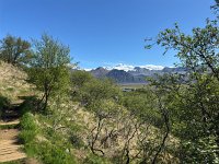 IMG 5170