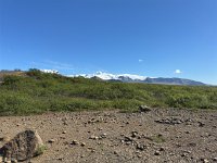 IMG 5178
