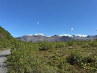 IMG 5184