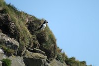 IMG 5209 1167