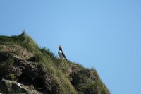 IMG 5209 1175