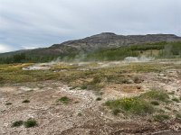 IMG 5311
