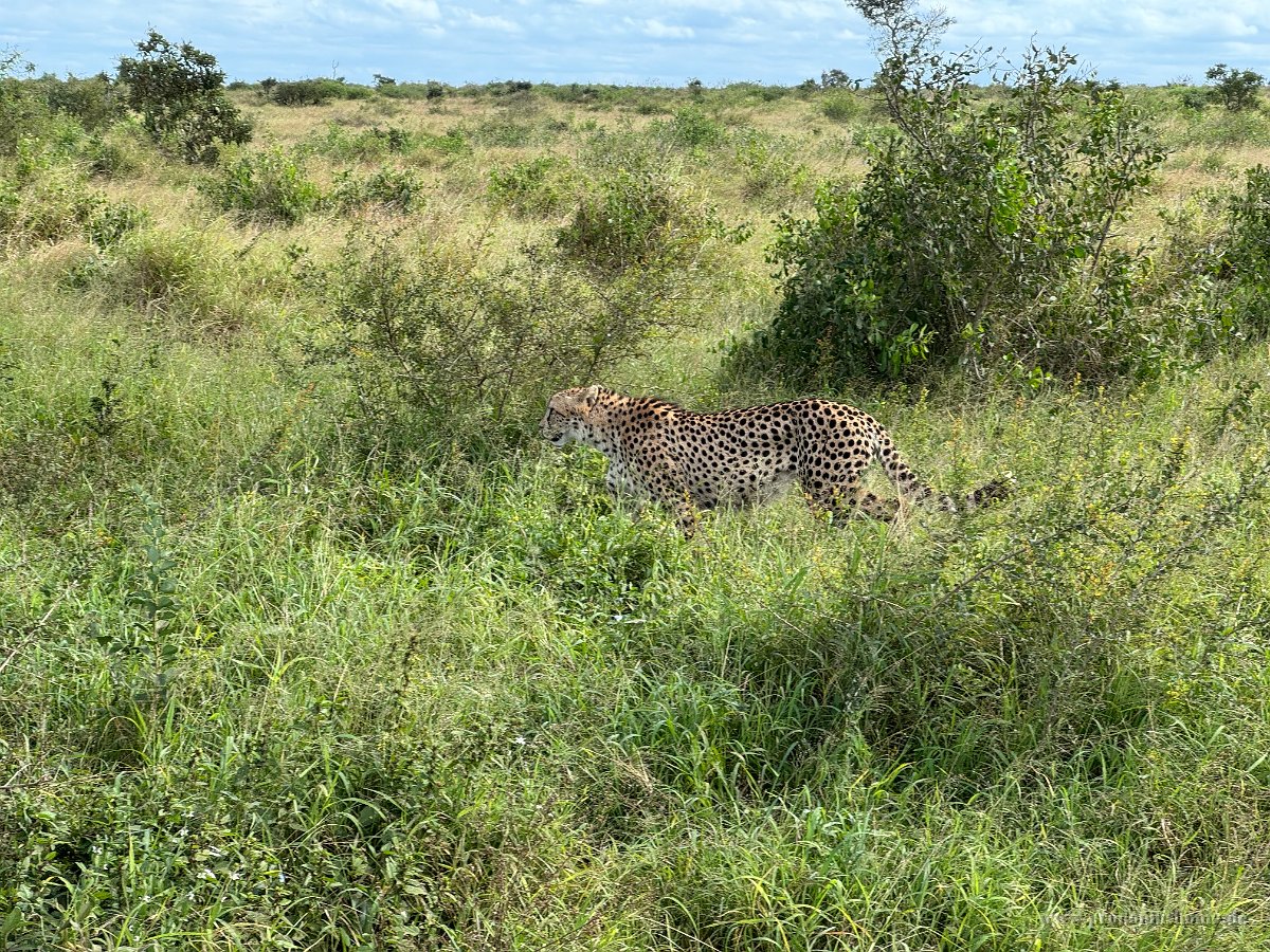 IMG 7832