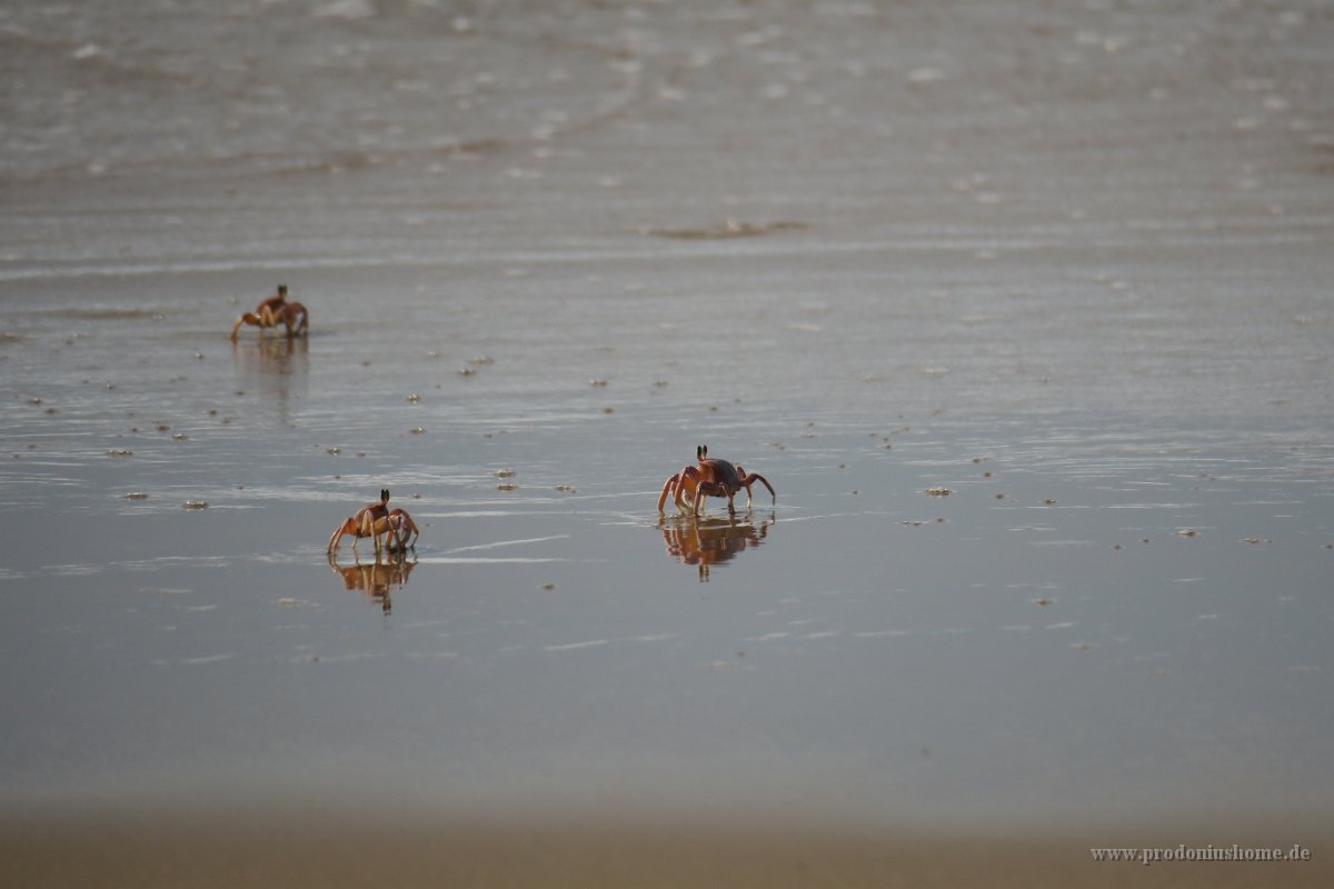 IMG 7990 IMG 2292