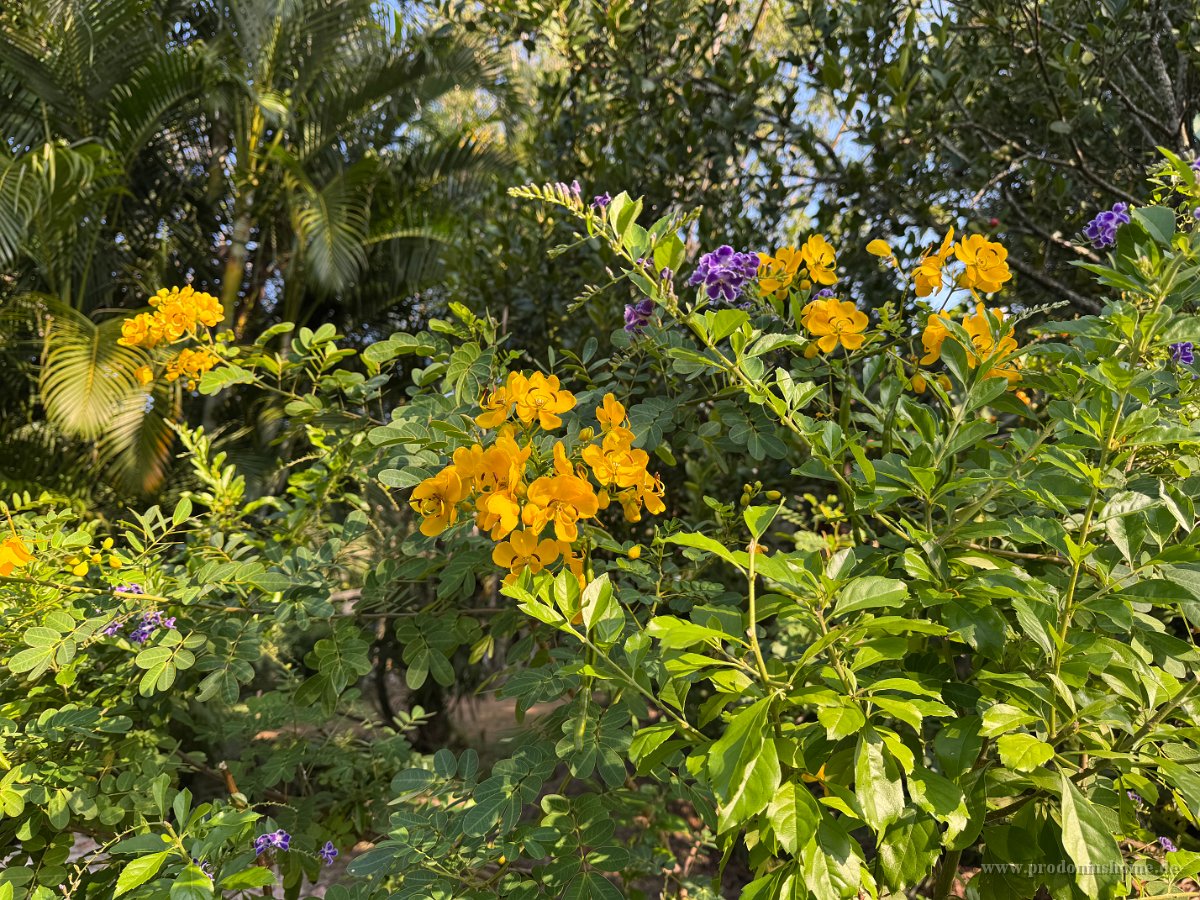 IMG 7992