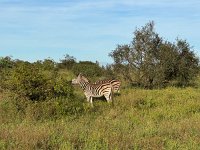 IMG 7790