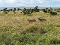 IMG 7809