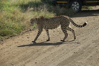 IMG 7809 IMG 1980