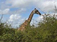 IMG 7871