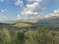 IMG 7963