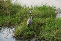 IMG 7981 IMG 2288
