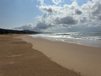 IMG 7990