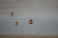 IMG 7990 IMG 2292