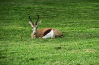 IMG 8180 IMG 2419