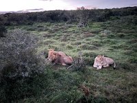 IMG 8191