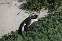 IMG 8497 IMG 2573