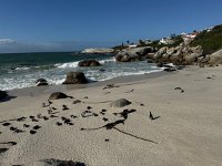 IMG 8500