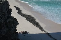 IMG 8524 IMG 2597