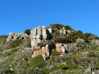 IMG 8579